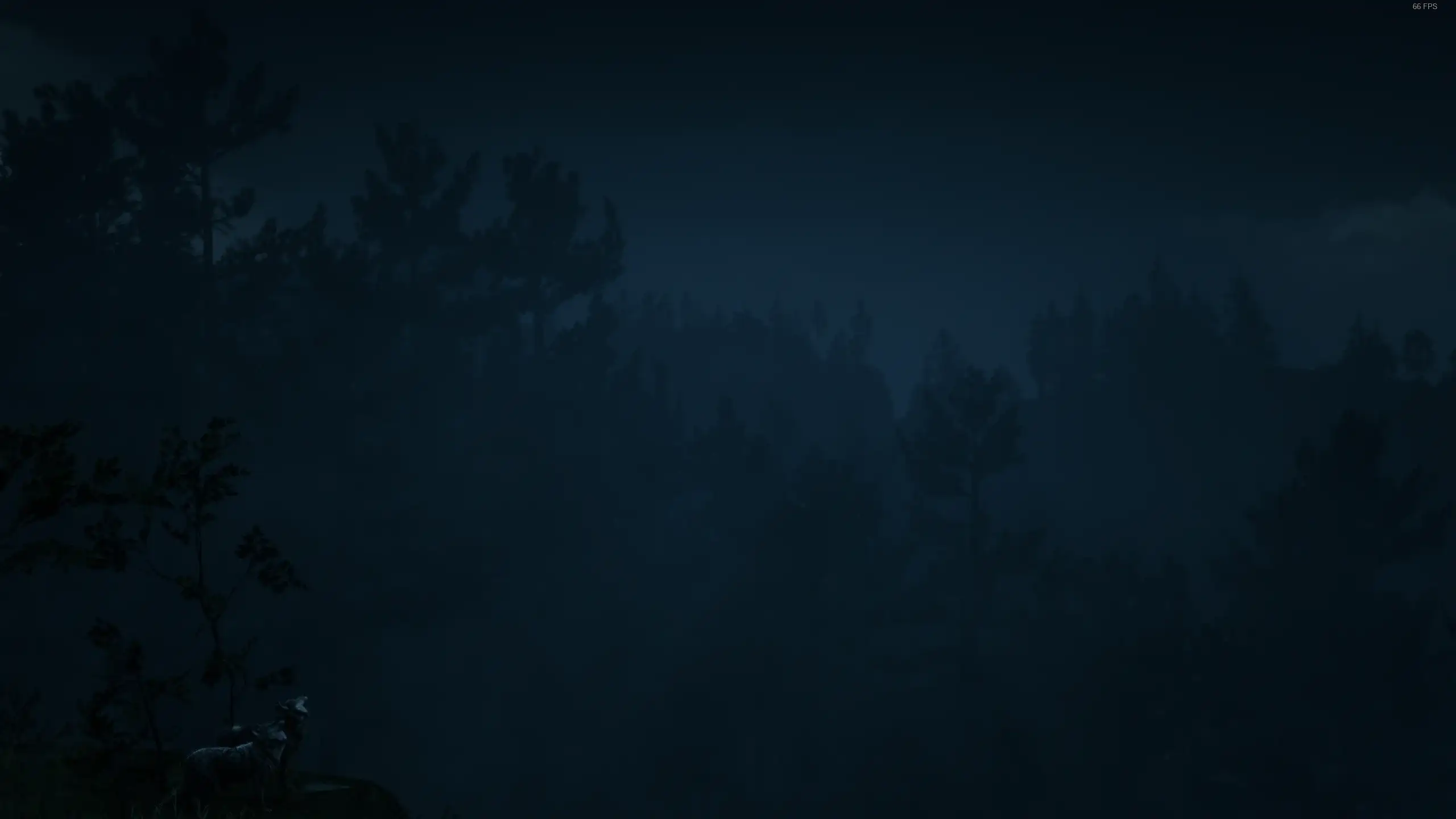 Lazy Loaded Image