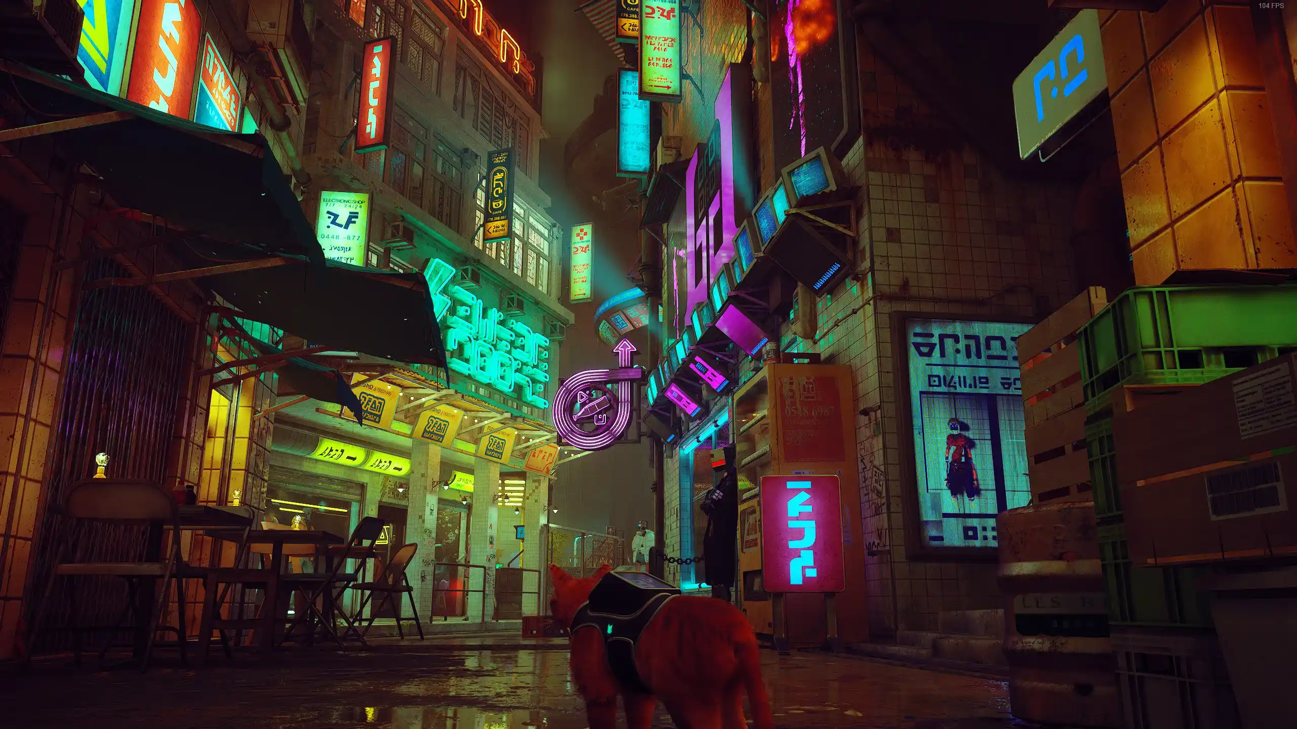 Lazy Loaded Image