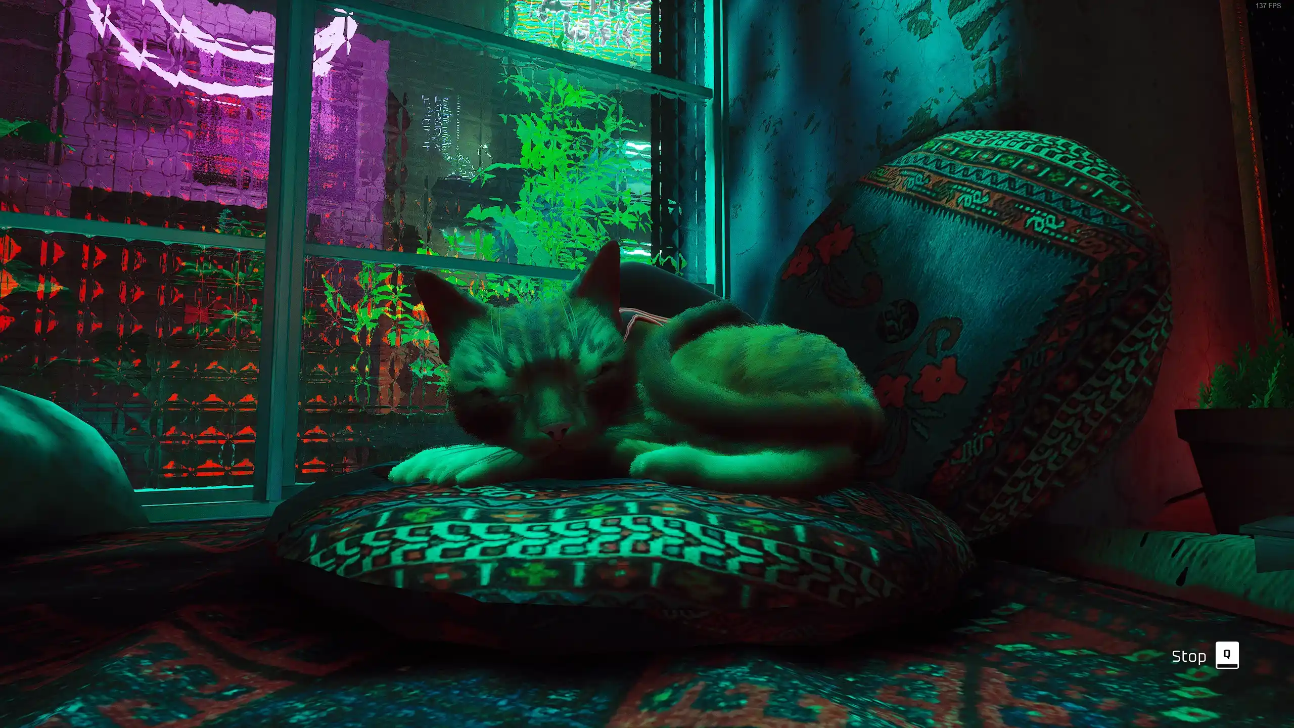 Lazy Loaded Image