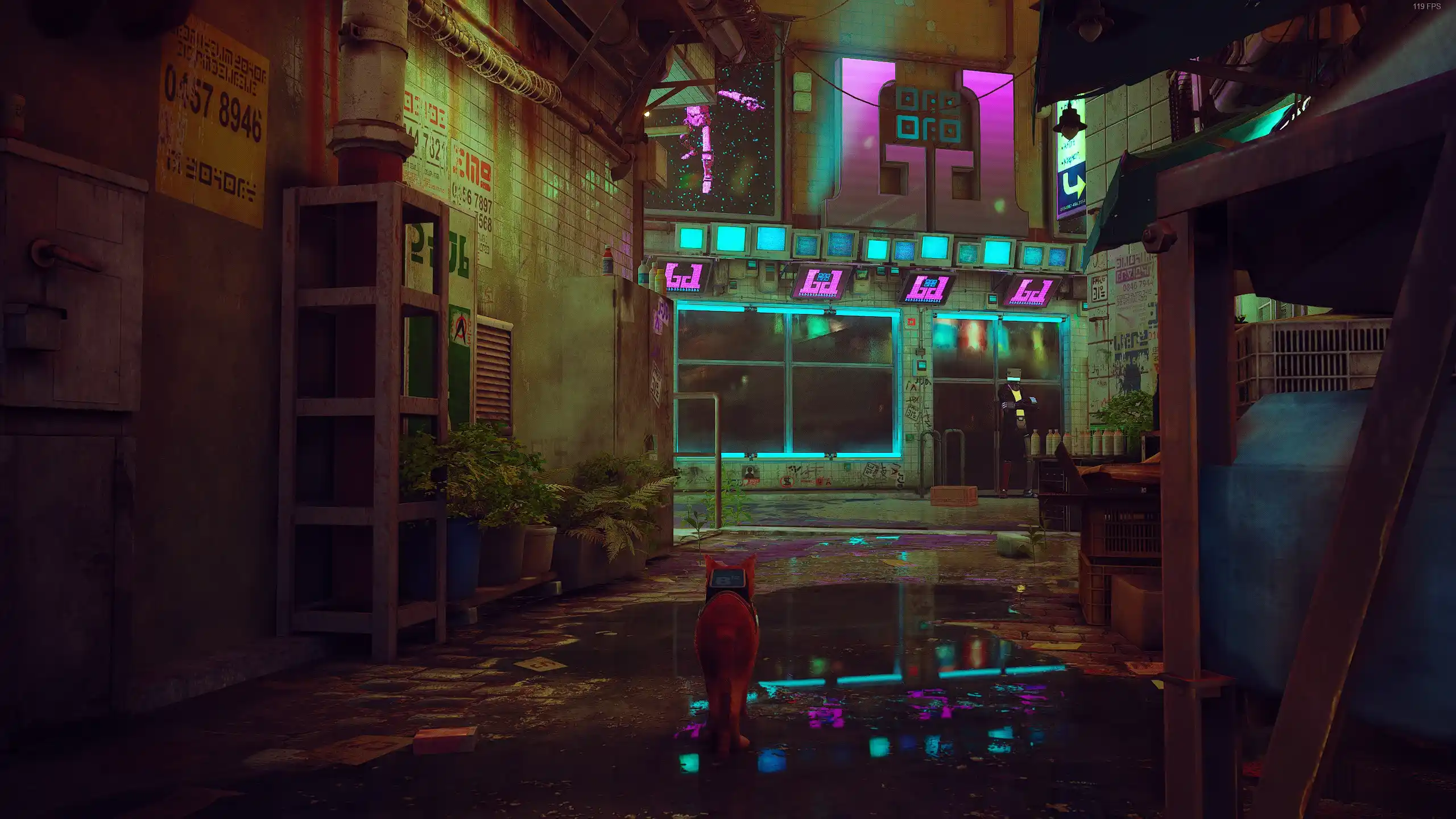 Lazy Loaded Image