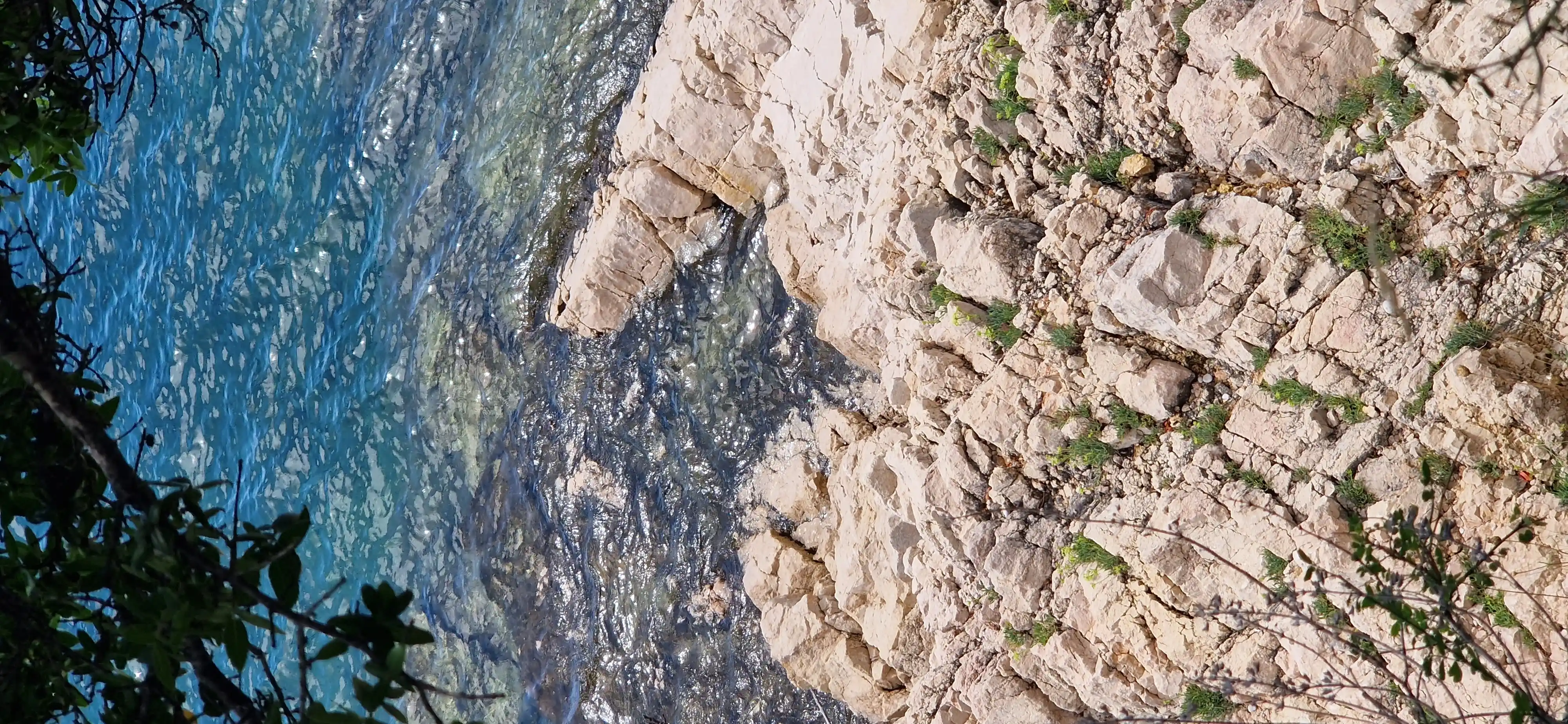 Lazy Loaded Image